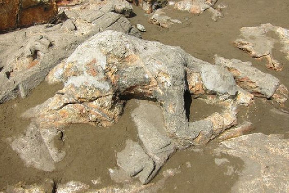 Legenda Malin Kundang